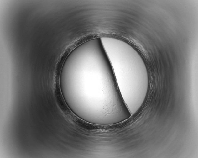 X0000096460496200801241121
