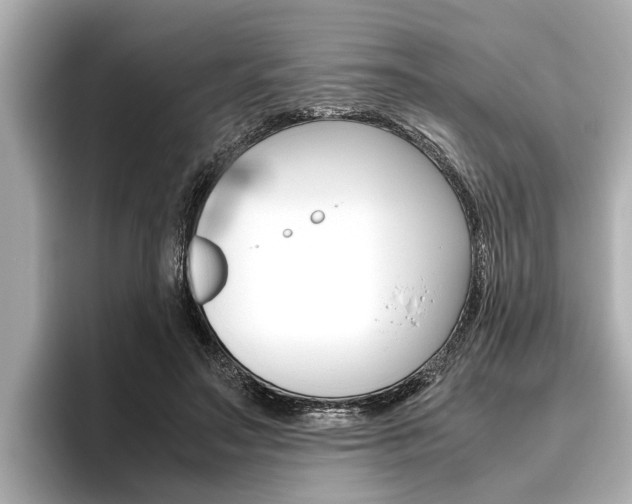 X0000096460499200801241121