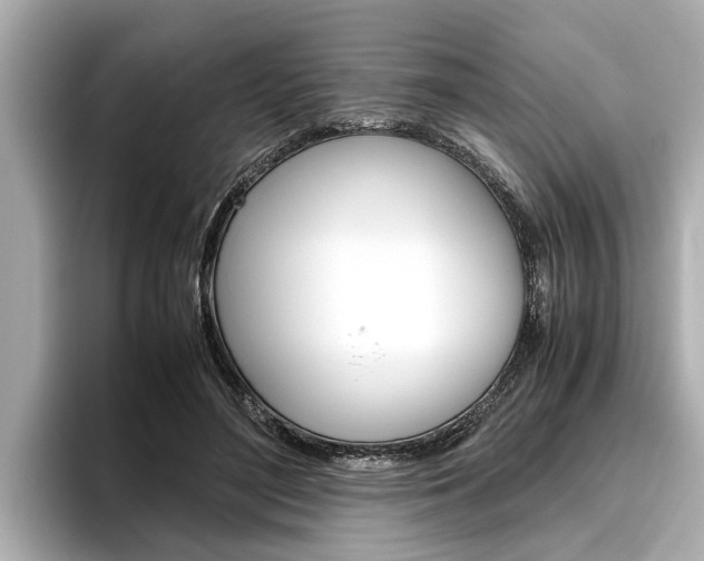 X0000096460500200801241121
