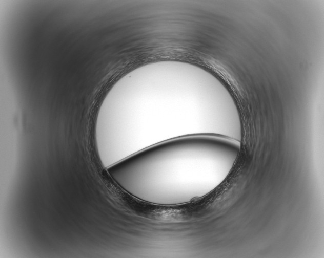 X0000096460501200801241121