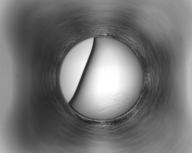 X0000096460504200801241121