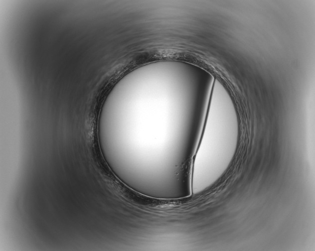 X0000096460505200801241121