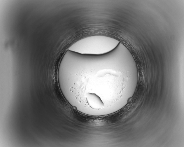 X0000096460506200801241121