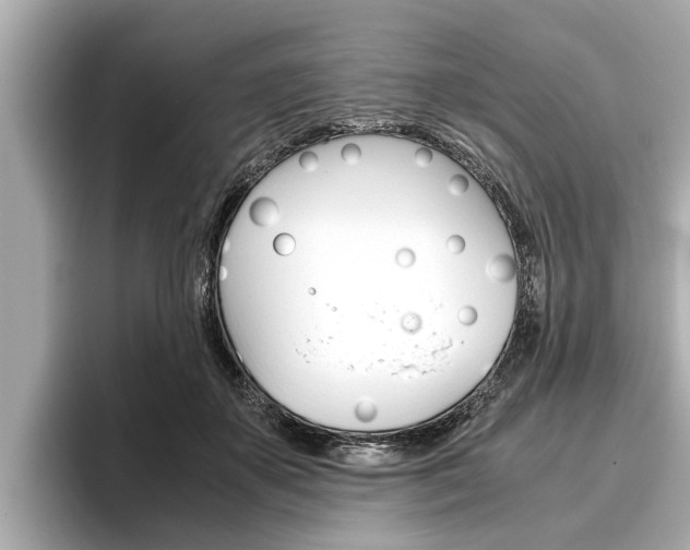 X0000096460507200801241121