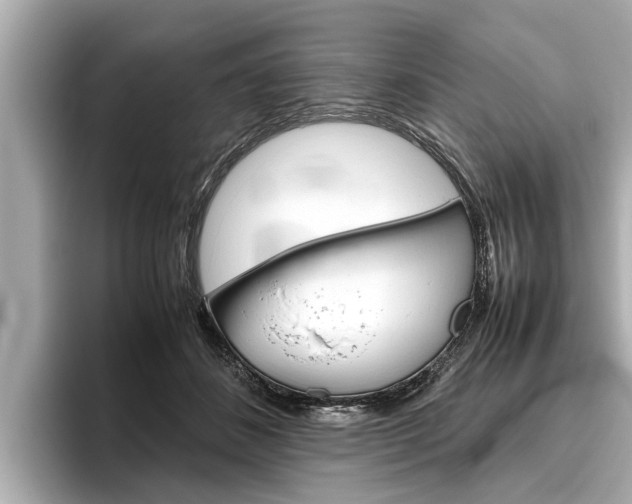 X0000096460508200801241121