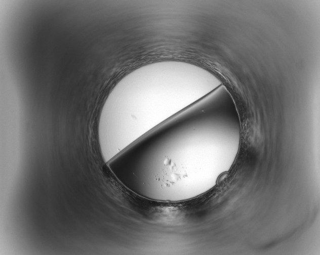 X0000096460509200801241121
