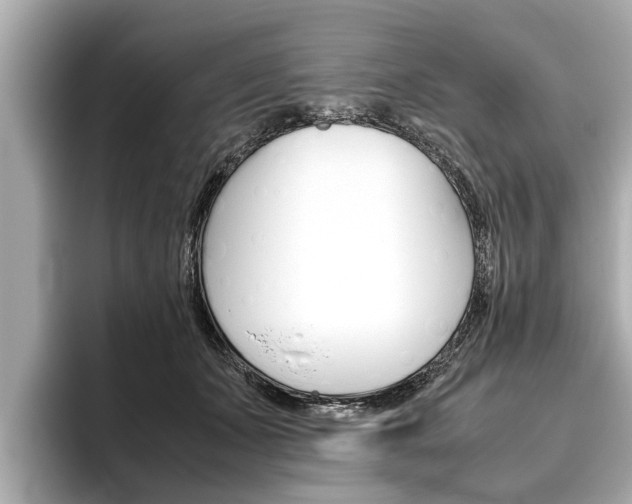 X0000096460511200801241121