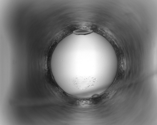 X0000096460512200801241121