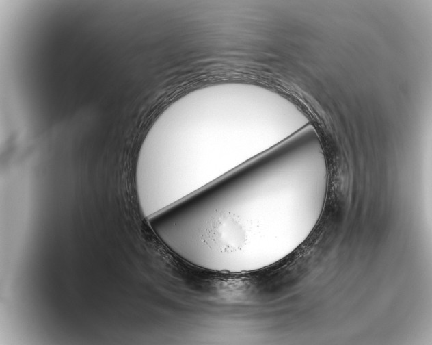 X0000096460513200801241121