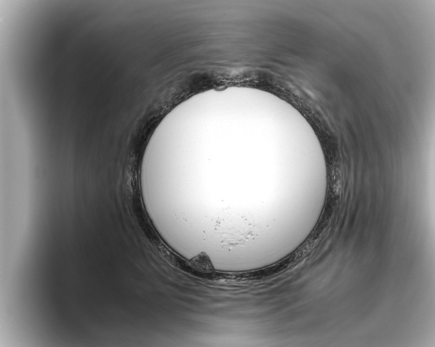 X0000096460515200801241120