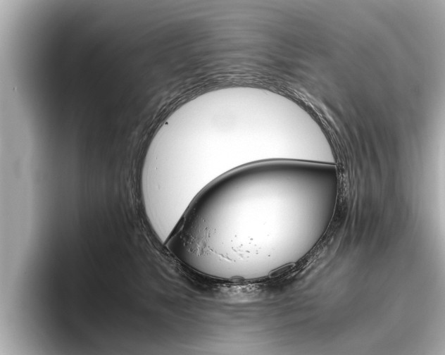 X0000096460517200801241120