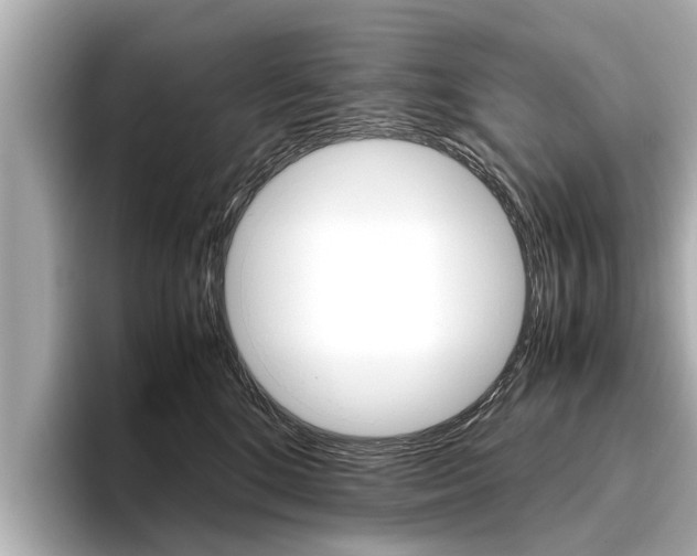 X0000096460520200801241120