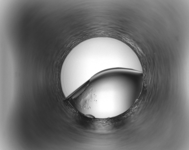 X0000096460521200801241120