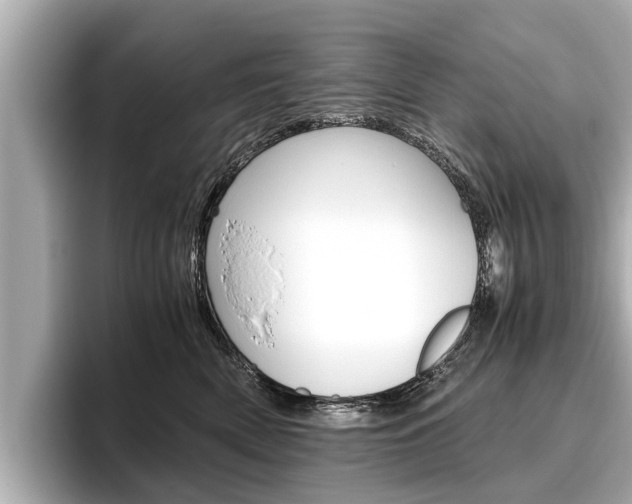 X0000096460522200801241120