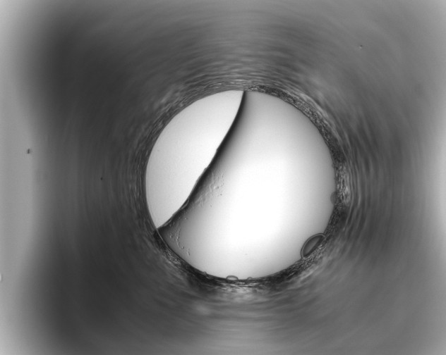 X0000096460523200801241120