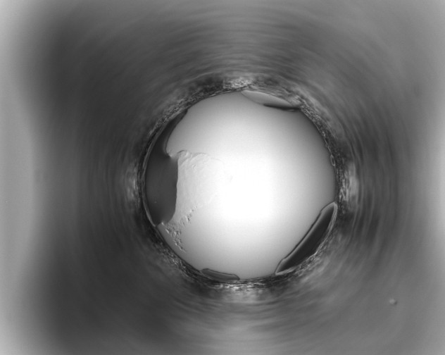 X0000096460524200801241120