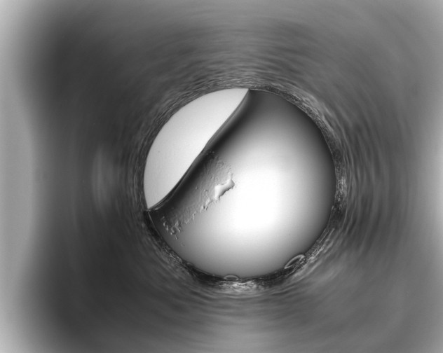 X0000096460525200801241120