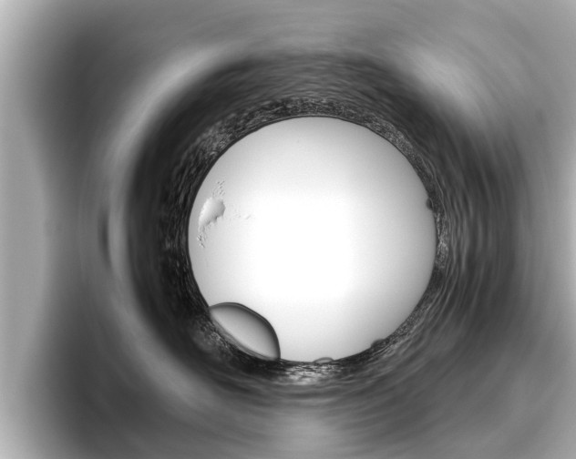 X0000096460526200801241120