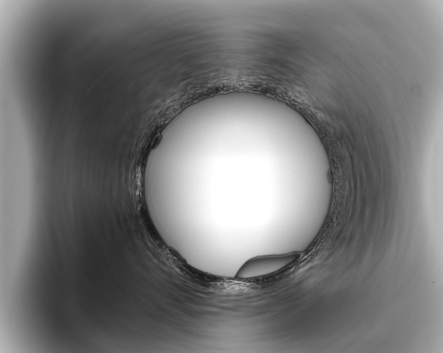 X0000096460528200801241120