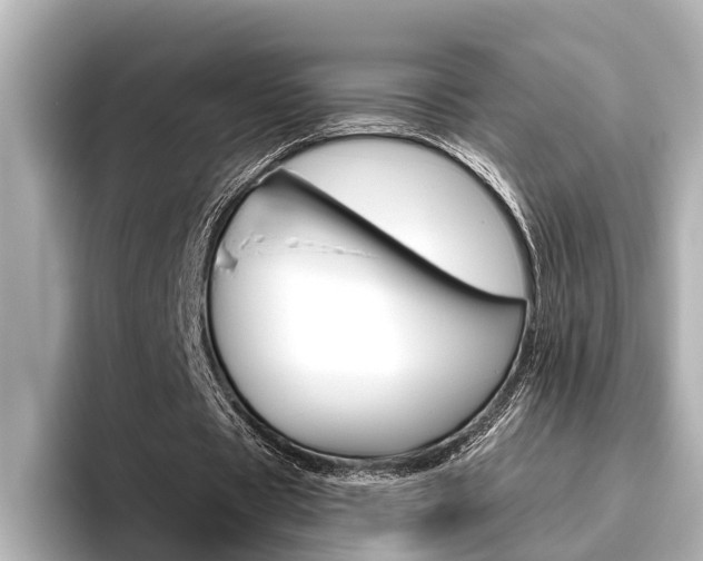 X0000096460529200801241120
