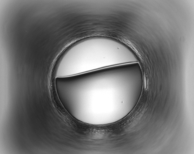 X0000096460531200801241120