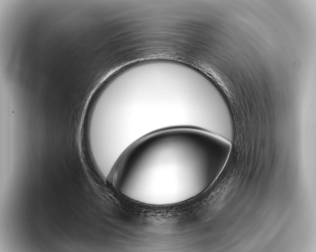 X0000096460532200801241120