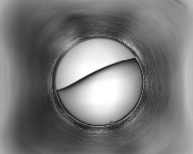 X0000096460533200801241120