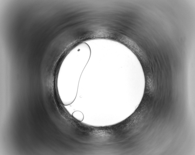 X0000096460534200801241120