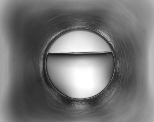 X0000096460535200801241120