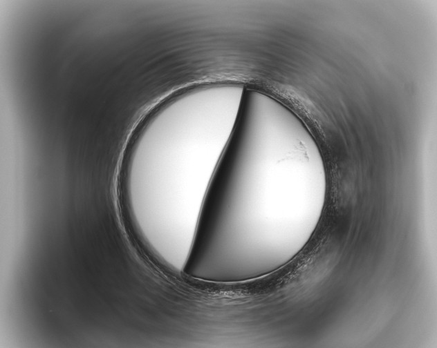 X0000096460536200801241120
