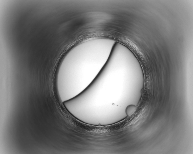 X0000096460537200801241120
