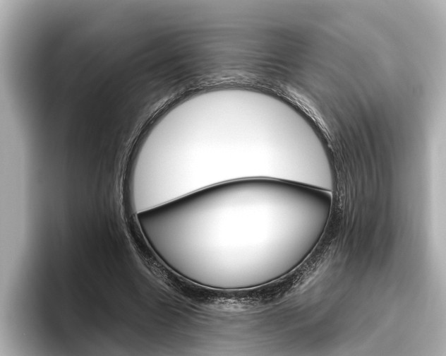 X0000096460538200801241120