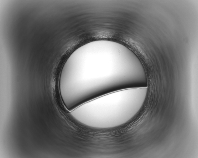 X0000096460539200801241120