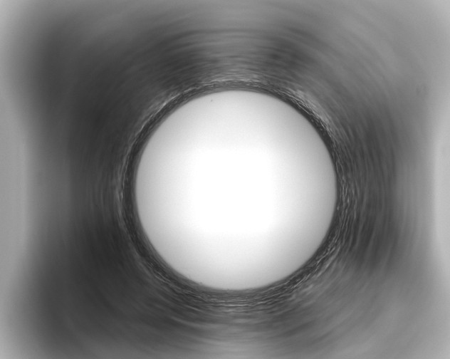 X0000096460544200801241120