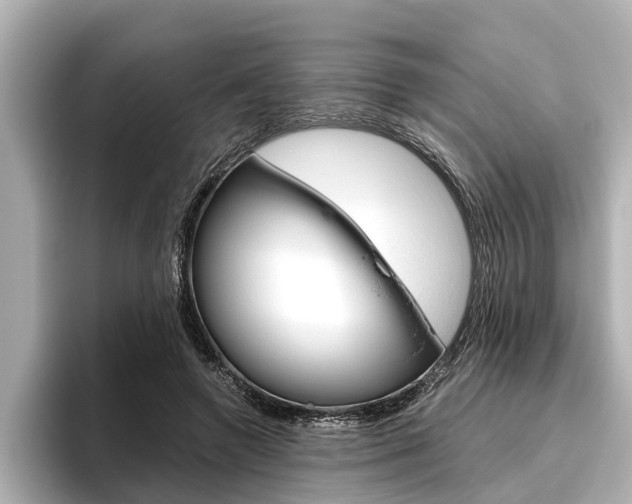 X0000096460546200801241120