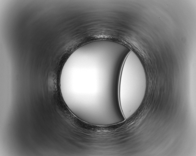 X0000096460547200801241120