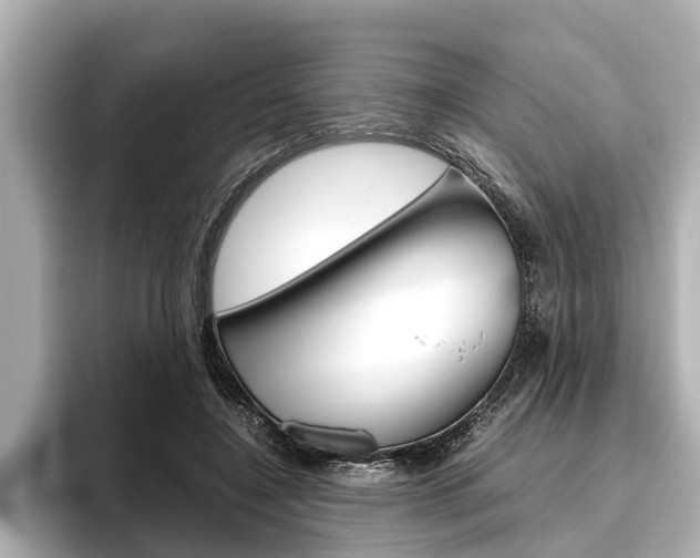 X0000096460548200801241120
