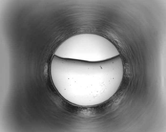 X0000096460550200801241120