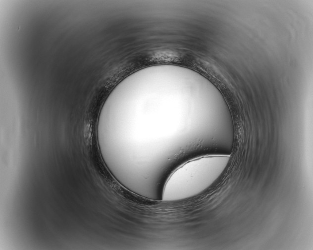 X0000096460551200801241120