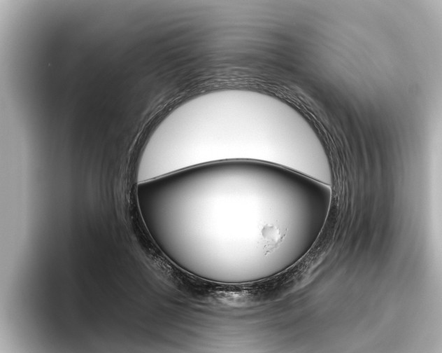 X0000096460552200801241120