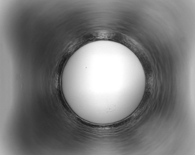 X0000096460554200801241120