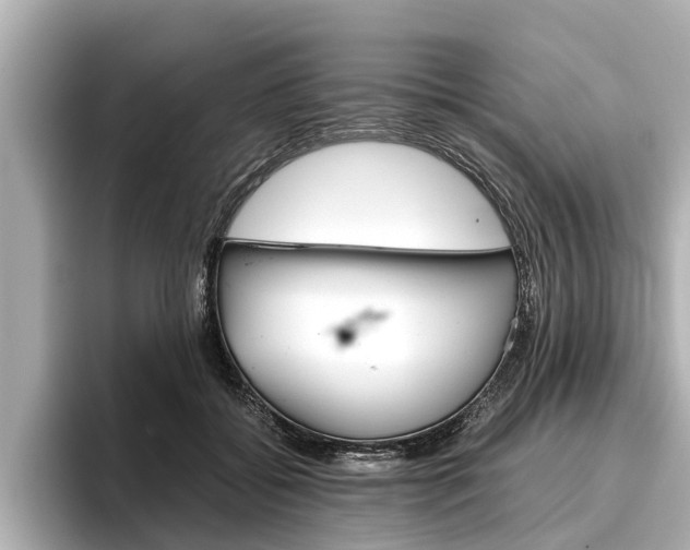 X0000096460556200801241120