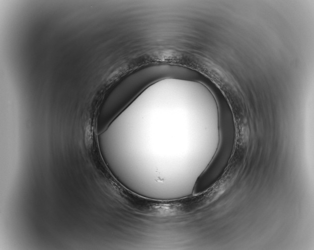 X0000096460558200801241120