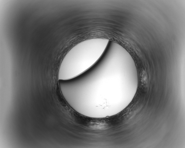 X0000096460559200801241120