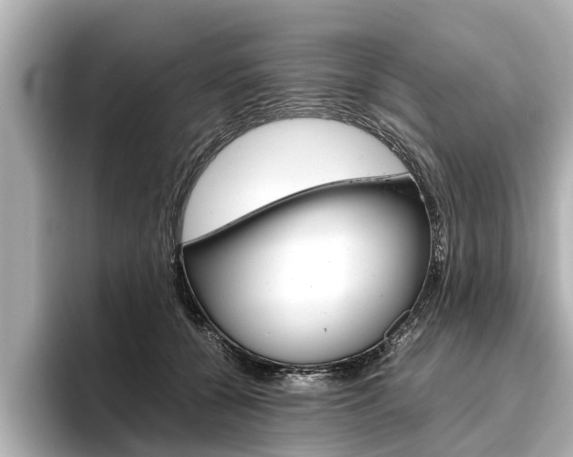 X0000096460560200801241120