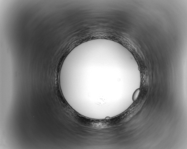 X0000096460561200801241120