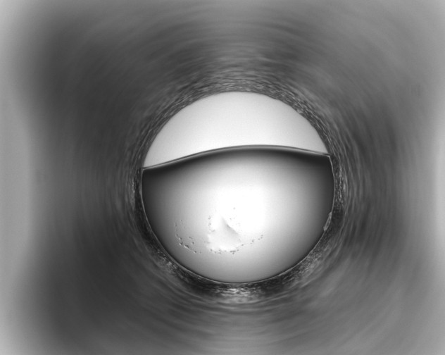X0000096460562200801241120
