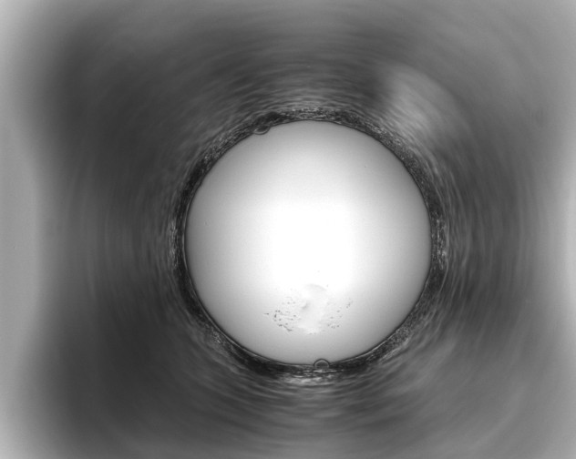 X0000096460563200801241120