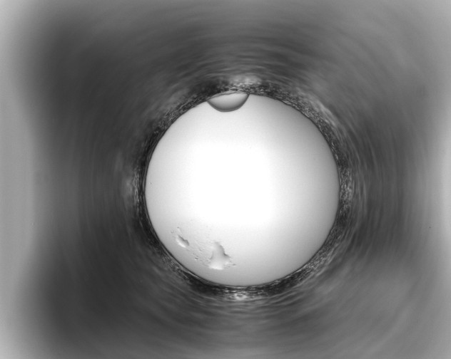 X0000096460565200801241120
