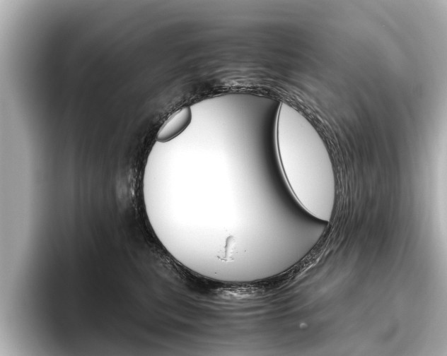 X0000096460567200801241120
